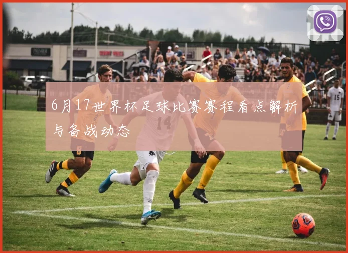 6月17世界杯足球比赛赛程看点解析与备战动态