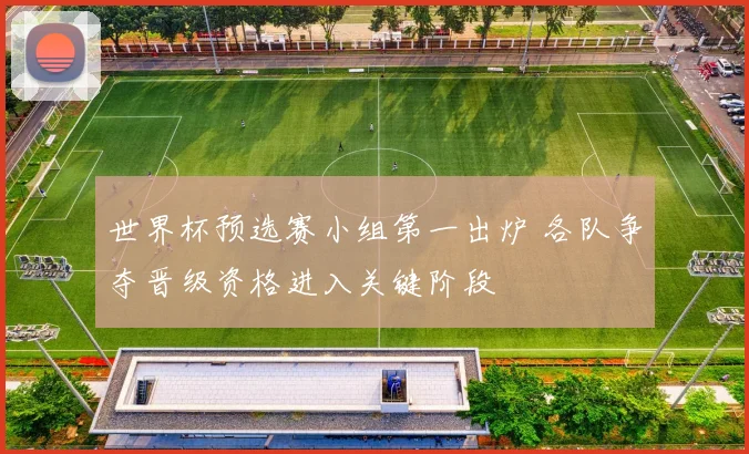 世界杯预选赛小组第一出炉 各队争夺晋级资格进入关键阶段